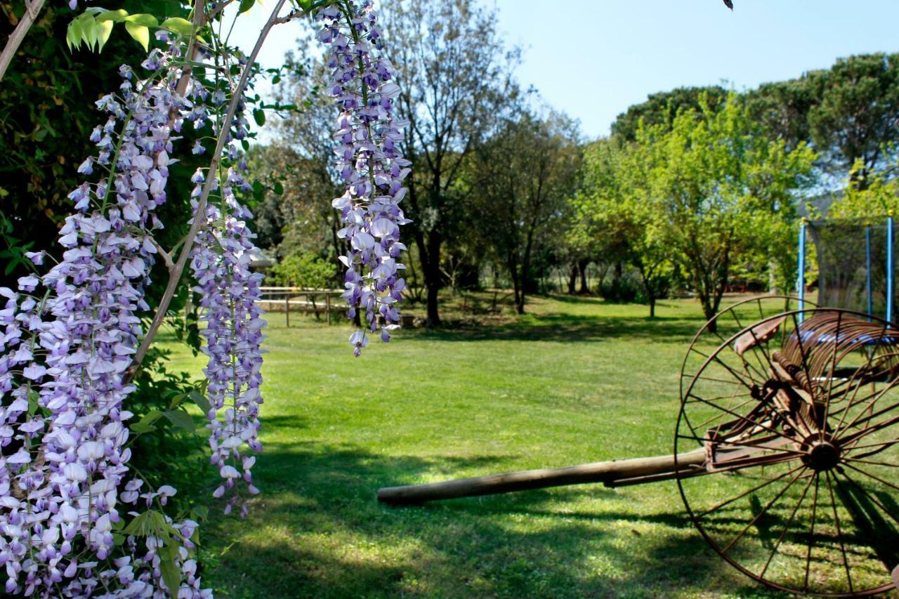 Agriturist Prile Βίλα Castiglione della Pescaia Εξωτερικό φωτογραφία
