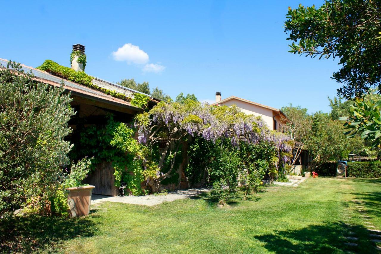 Agriturist Prile Βίλα Castiglione della Pescaia Εξωτερικό φωτογραφία